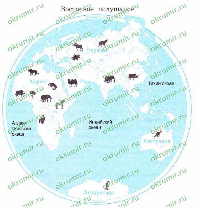 На каком материке серый волк восточного полушария. Животные на Западном полушарии земли. Животные восточного полушария земли. Восточное полушарие с животными. Карта Западное полушарие животные.